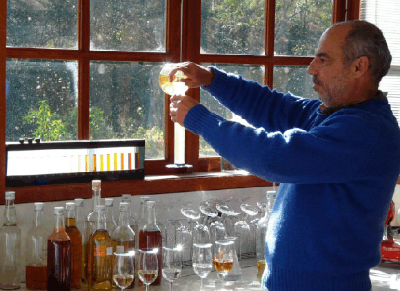 Foto da Fazenda Soledade - Blending Foto da Fazenda Soledade - Blending