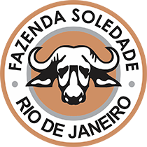 Logo da Fazenda Soledade
